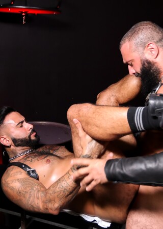 Harnessed, Hairy And Hard Fuckers