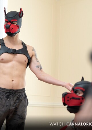 Pup Play Vol.1, Title: House Pups