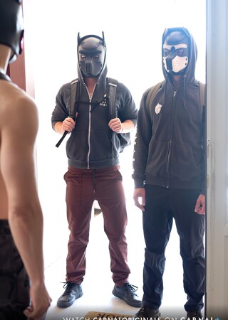 Pup Play Vol.1, Title: House Pups