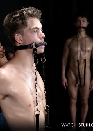 Stud Loads Vol. 8, Title: Stable Master