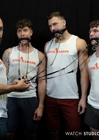 Stud Loads Vol. 7. Title: Stable Master