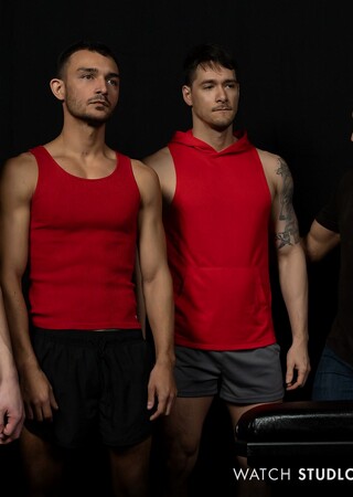 Stud Loads Vol.8, Title: Stallion Assessment