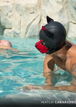 Pup Play Vol. 2, Title: Big Dog