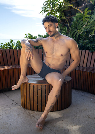 Sir Peter Bangs Brazil