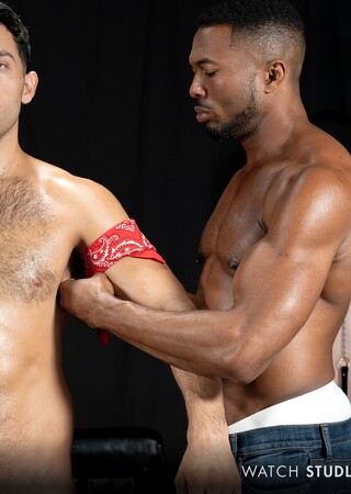 Stud Loads Vol. 9, Title: Stallion Assessment