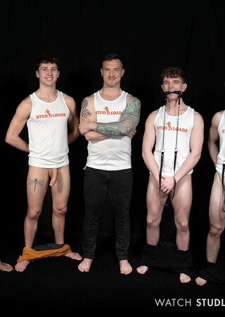 Stud Loads #10, Title: Marking the Stallions