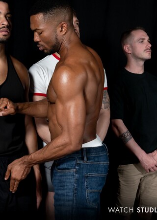 Stud Loads Vol. 12, Title: Marking the Stallions