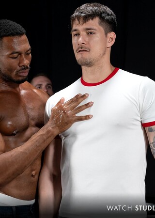 Stud Loads Vol. 12, Title: Marking the Stallions